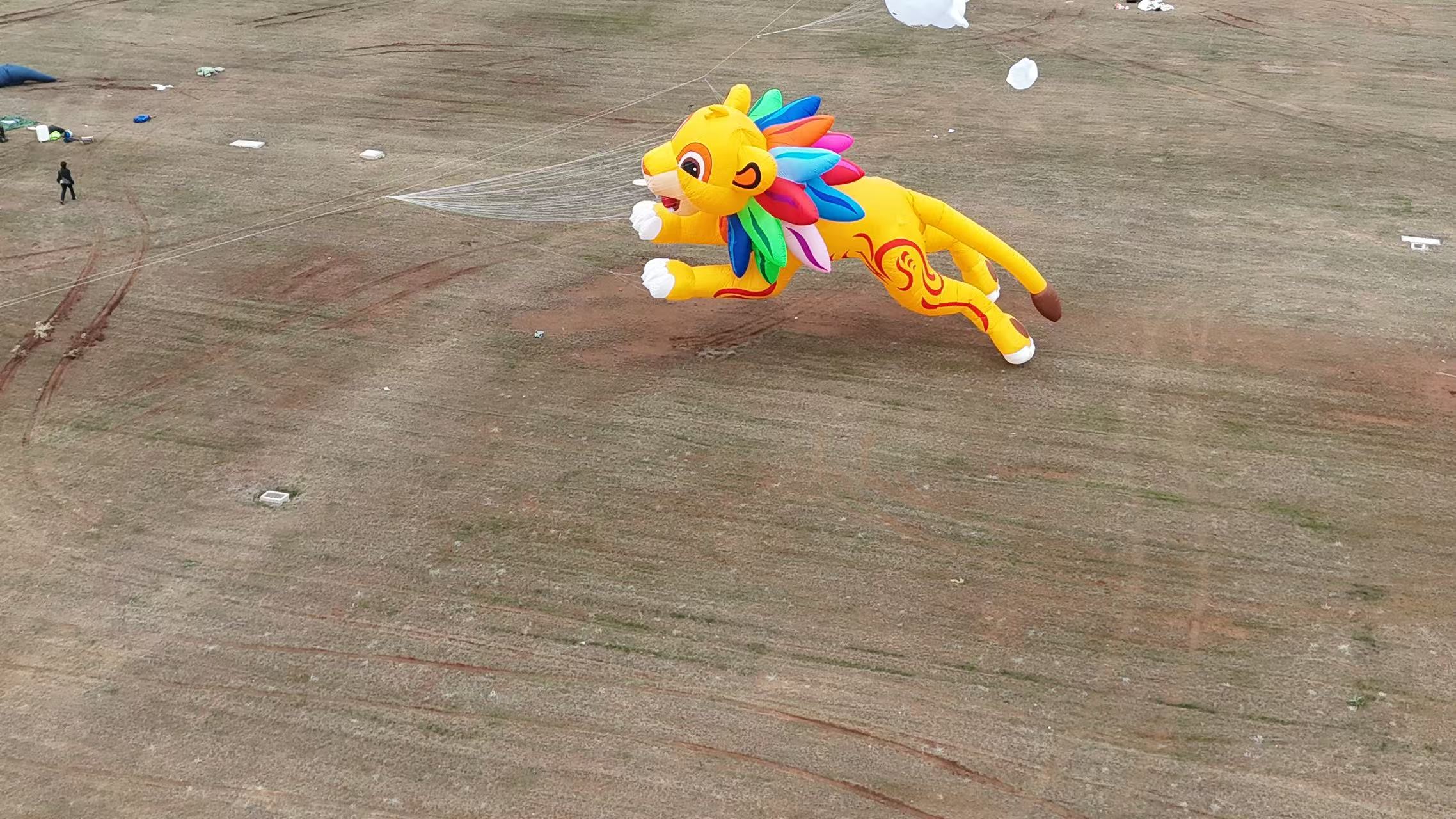 苏州市品牌风筝定制风筝批发 - 一站式服务