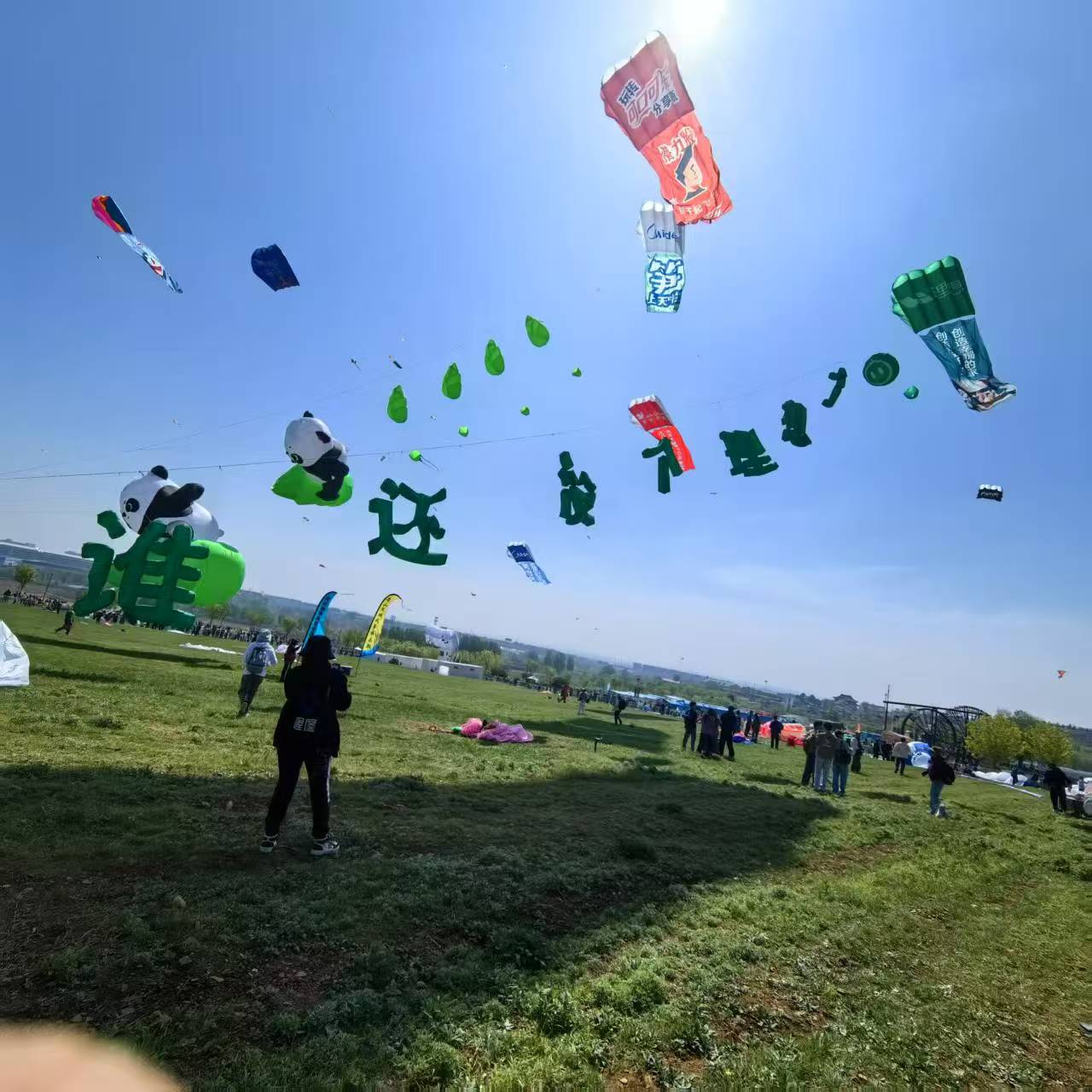 苏州市风筝批发风筝定制 - 价格